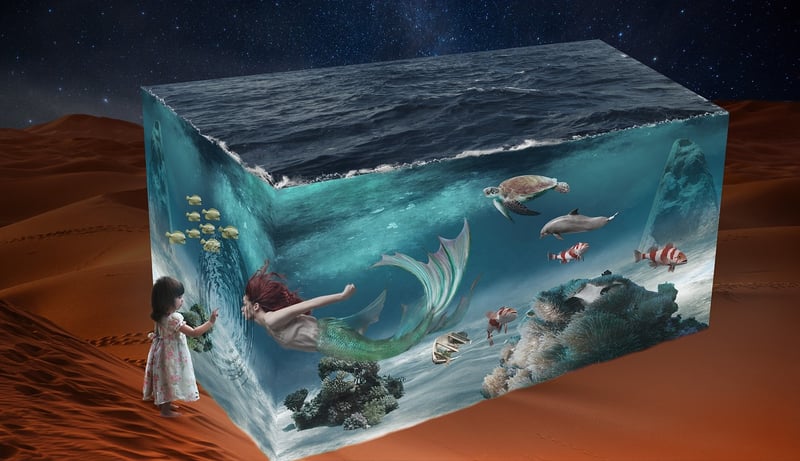 Mermaid Encounters